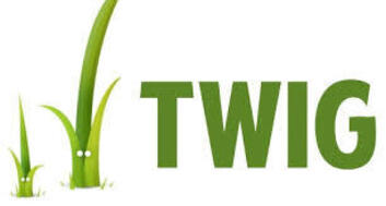 twig